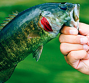 ddos服务器攻击手段