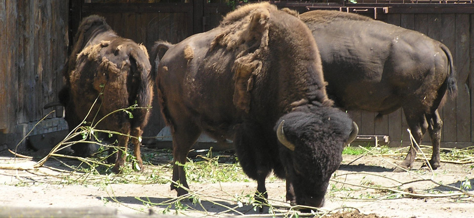 免费ddos压力测试平台