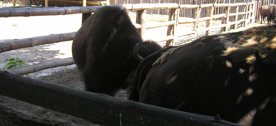 ddos压力测试网页端