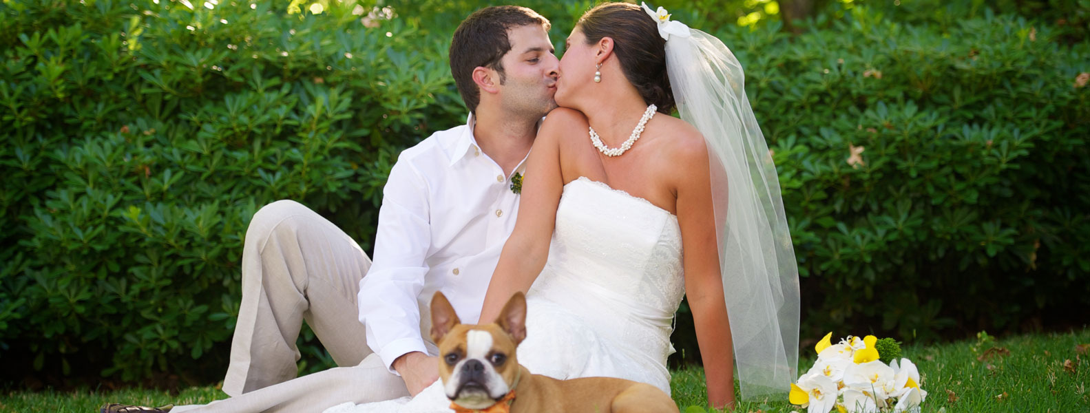 Web漏洞扫描工具